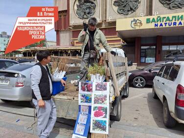 Саженцы из Бурятии на выставке в Улан-Баторе раскупили за час.